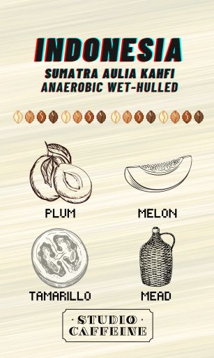 Indonesia Aulia Kahfi Sumatra Anaerobic WH