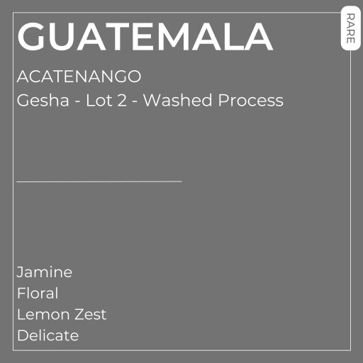 Guatemala - Acatenango Gesha Lot 2