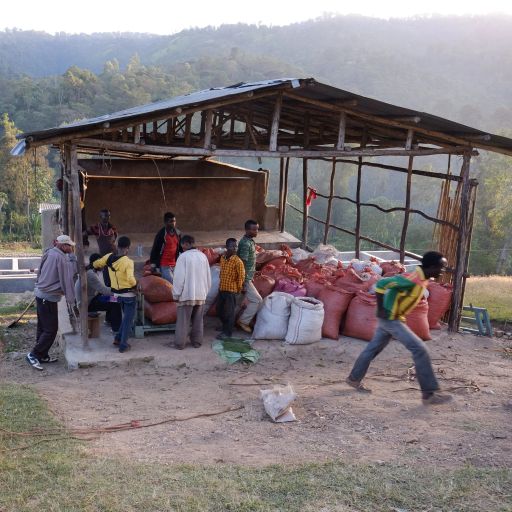 Uraga - Carbonic Maceration - Natural