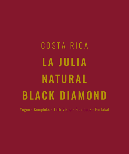 Costa Rica – La Julia Natural Black Diamond