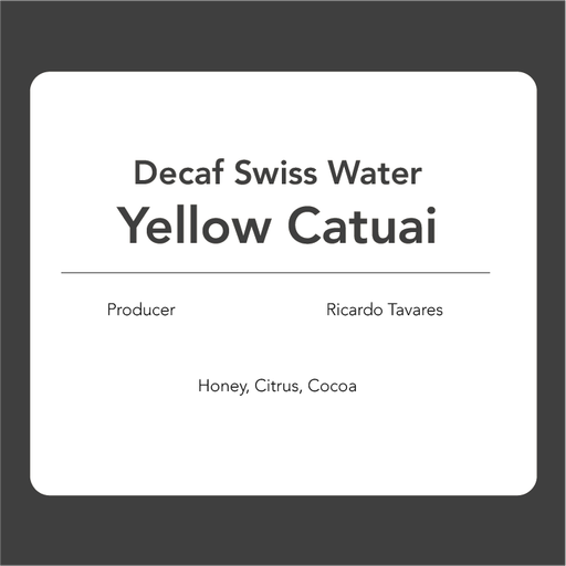 Decaf Swiss Water: Yellow Catuai – Ricardo Tavares