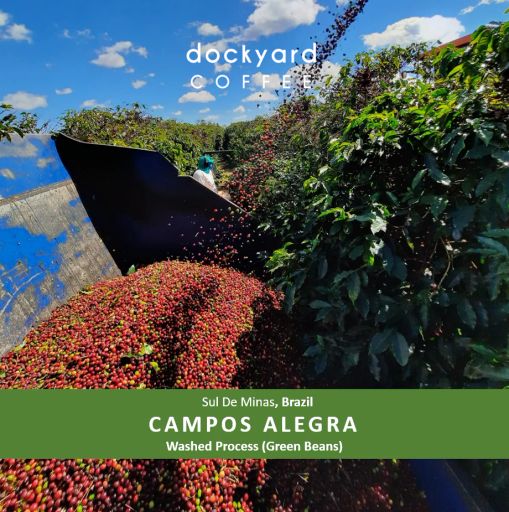 Brazil Campos Alegre Sul De Minas Green Beans