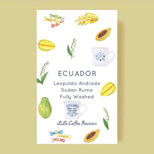 ECUADOR Leopoldo Andrade Sudan Rume Fully Washed