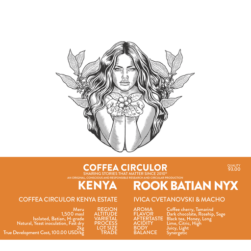 KENYA Coffea Circulor Rook Isolated Batian NYX