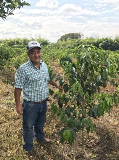 Colombia Popayan EA Decaf
