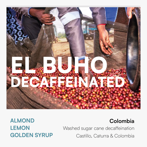 EL BUHO | DECAFFEINATED