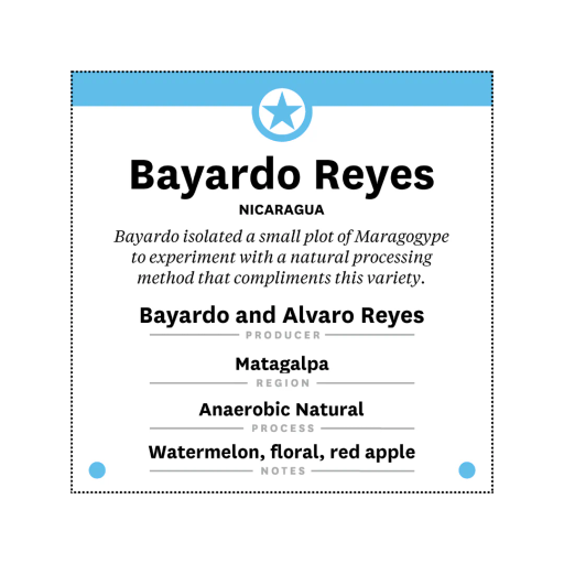 Nicaragua Bayardo Reyes Maragogype Natural