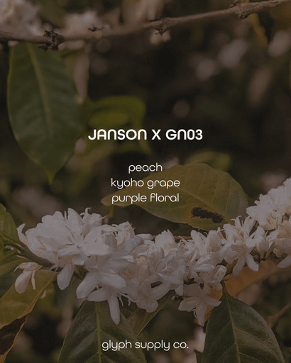 Janson X GN03