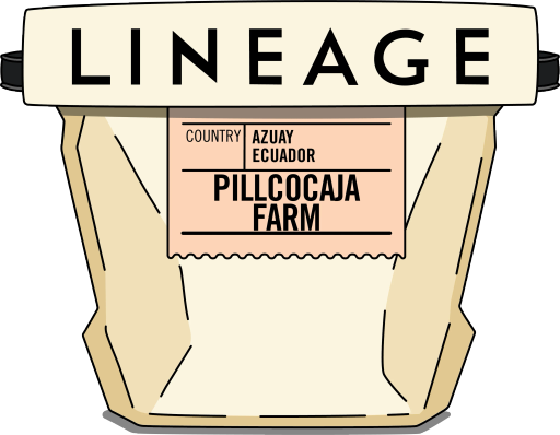 Ecuador, Pillcocaja Farm