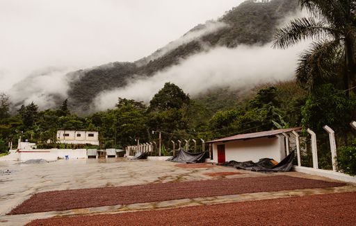 Finca La Bolsa