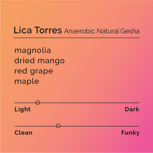 Lica Torres - Anaerobic Natural Gesha