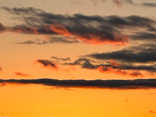 PACAYSUIZO PERU JULIANA