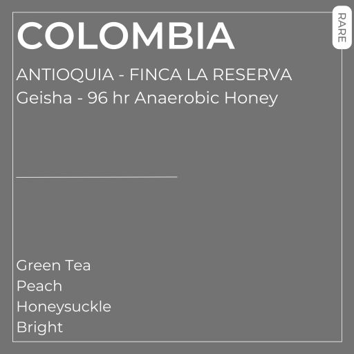 #11 - Finca La Reserva - Geisha 96hr Anaerobic Honey
