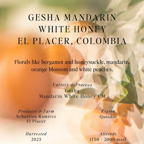 Gesha Mandarin White Honey, El Placer, Colombia