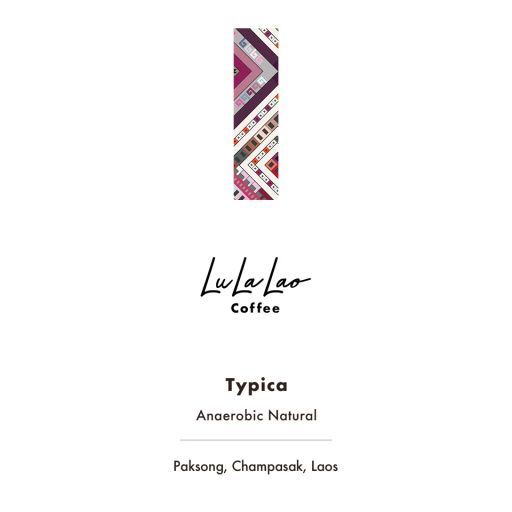 Champasak province Typica Anaerobic Natural