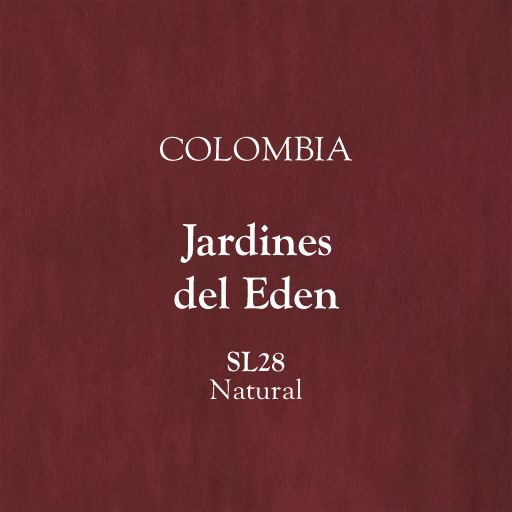 Colombia, Jardines Del Eden. SL28, Natural