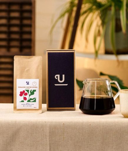 Yeraldine Castro, Colombia