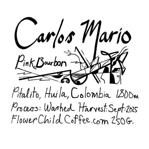 Carlos Mario