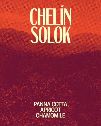 Chelín Solok