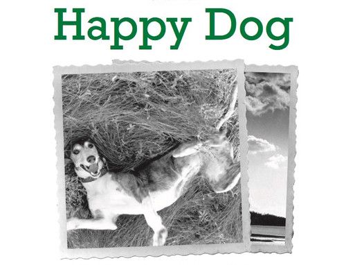 Happy Dog
