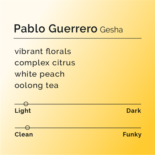 Pablo Guerrero - Gesha