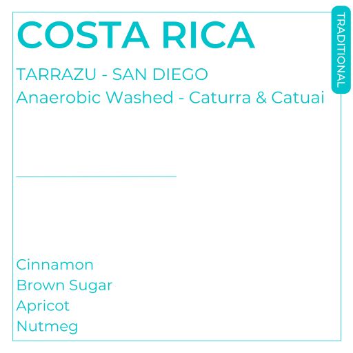 Costa Rica - Tarrazu - San Diego - Anaerobic Semi-Washed