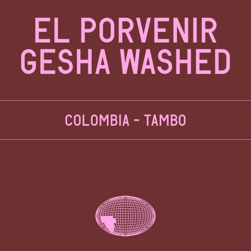 El Porvenir Geisha Washed