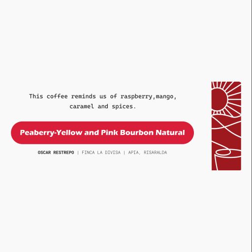 Oscar Restrepo's Finca La Divisa Peaberry Yellow & Pink Bourbon Natural