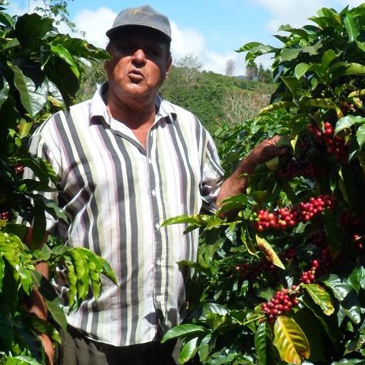 Costa Rica San Cristobal【COE#29】