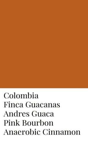 Lot "Cinnamon" - Colombia Andres Guaca Pink Bourbon Honey