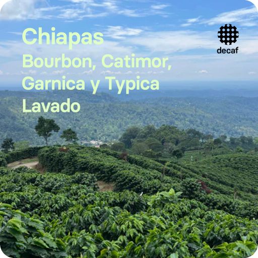 Chiapas decaf