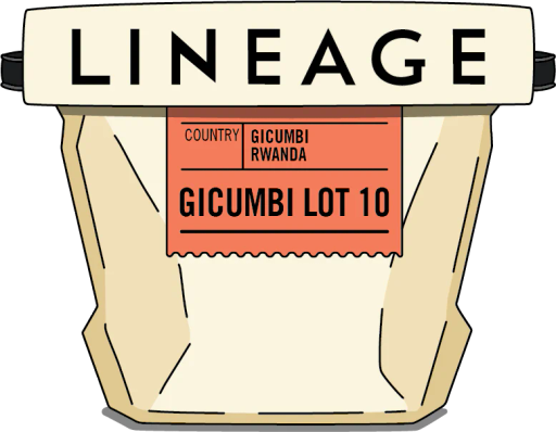 Rwanda, Gicumbi Lot 10