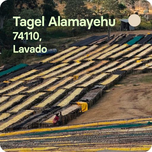 Tagel Alamayehu, Etiopía