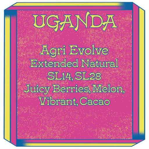 Uganda, Agri Evolve, SL14 SL28, Extended Natural