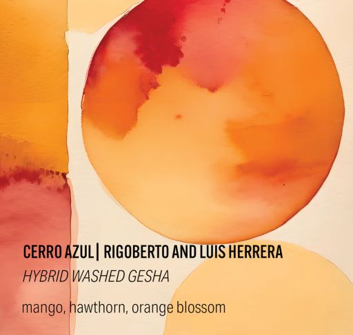 Cerro Azul Hybrid Washed Gesha