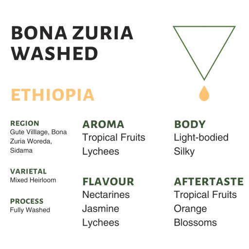 Ethiopia Bona Zuria Washed