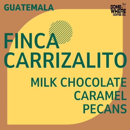Guatemala | Finca Carrizalito | Washed