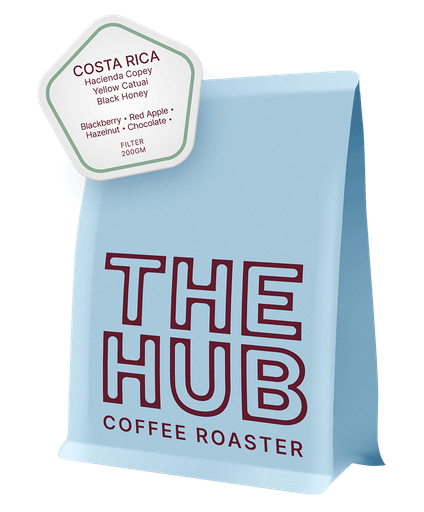Costa Rica Copey Yellow Catuai Lot 39 (Black Honey)