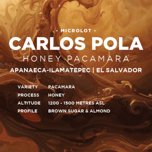 El Salvador: Carlos Pola