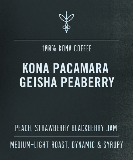 Kona Pacamara Geisha Peaberry