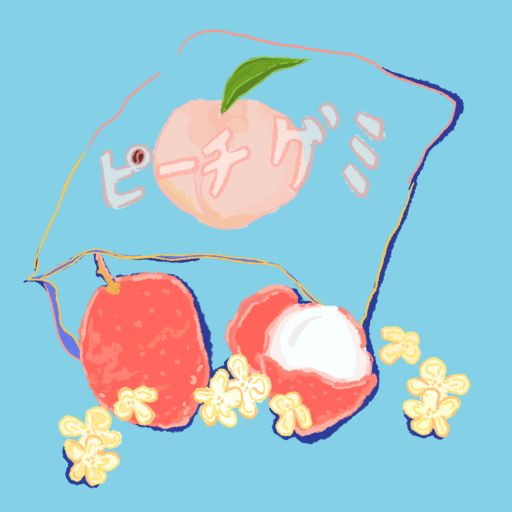 Castillo - Lychee - Finca El Paraiso