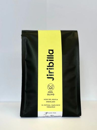 Joel Olivo - Enmielado