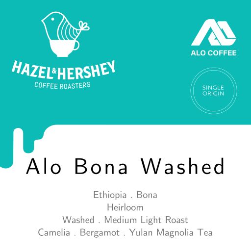 Ethiopia Alo Bona Washed