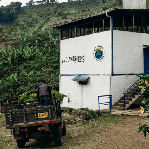 Colombia - CGLE - Las Margaritas - Hybrid Washed Geisha