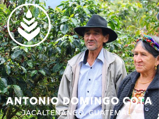 ANTONIO DOMINGO COTA