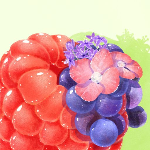 Gesha - Natural - Hacienda La Esmeralda