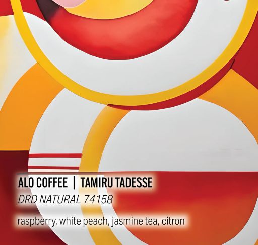Tamiru Tadesse Alo Coffee - DRD Natural 74158