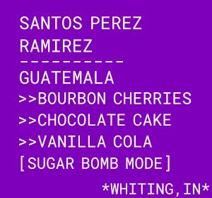 Santos Perez Ramirez