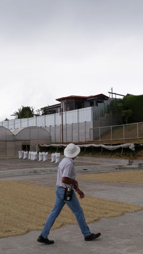 Costa Rica Herbazu San Roque Natural