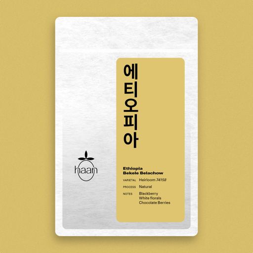 Ethiopia : Bekele Belachow